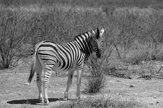 Namibia Namibia