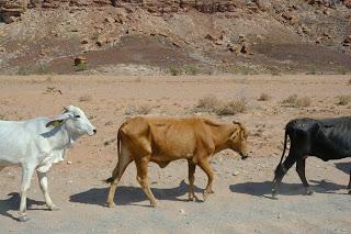 Namibia Namibia
