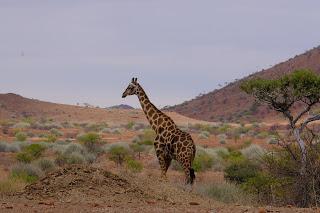 Namibia Namibia