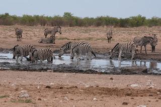 Namibia Namibia