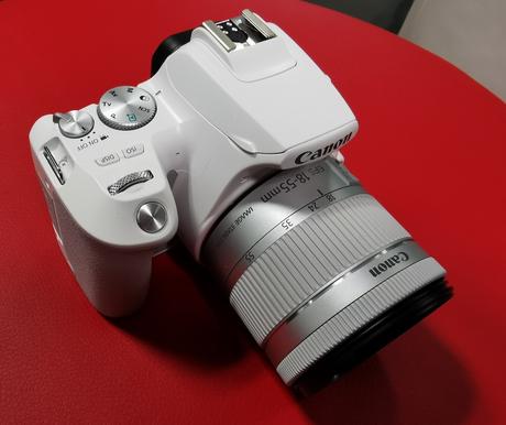 Canon presenta EOS 250D, la reflex con schermo orientabile più leggera al mondo Canon presenta EOS 250D, la reflex con schermo orientabile più leggera al mondo
