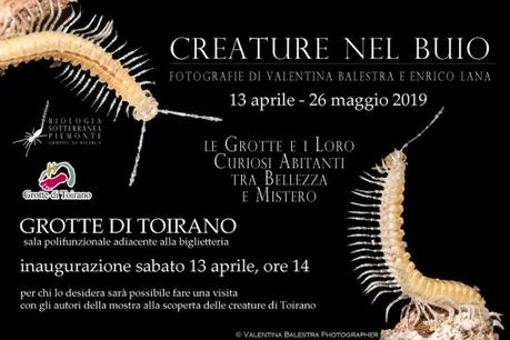 Inaugurazione Mostra Fotografica “CREATURE NEL BUIO” alle Grotte di Toirano. Fotografie di Valentina Balestra e Enrico Lana. Inaugurazione Mostra Fotografica “CREATURE NEL BUIO” alle Grotte di Toirano. Fotografie di Valentina Balestra e Enrico Lana.