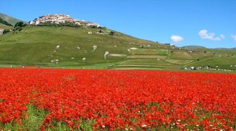 Castelluccio di Norcia: itinerari e sentieri Castelluccio di Norcia: itinerari e sentieri