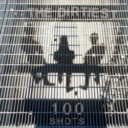 The Dirtiest – 100 Shots The Dirtiest – 100 Shots