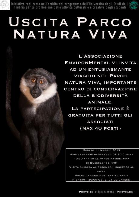 al PARCO NATURA VIVA di Bussolengo (Verona). Percorso naturale e culturale a cura della Associazione ENVIRONMENTAL, Università degli Studi dell’Insubria di Como e Varese al PARCO NATURA VIVA di Bussolengo (Verona). Percorso naturale e culturale a cura della Associazione ENVIRONMENTAL, Università degli Studi dell’Insubria di Como e Varese