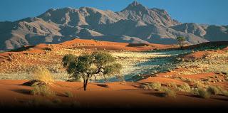 Namibia: da Doha a Windhoek Namibia: da Doha a Windhoek