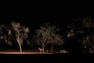 Namibia: da Doha a Windhoek Namibia: da Doha a Windhoek