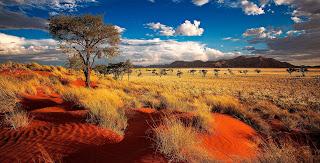 Namibia: da Doha a Windhoek Namibia: da Doha a Windhoek