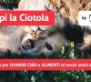 Riempi la ciotola: la nuova edizione by rendimax assicurazioni riempi la ciotola