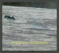 PER TROVARMI ANCORA CON NUOVI POST PER TROVARMI ANCORA CON NUOVI POST