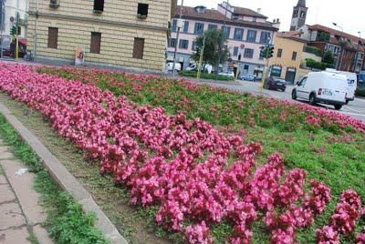 MILAN: THE CITY