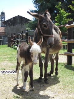 La Cà di Asu a Villa Segù