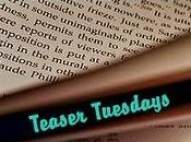 Teaser Tuesdays (26)