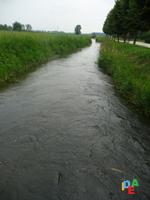 PEDALATA IN CAMPAGNA