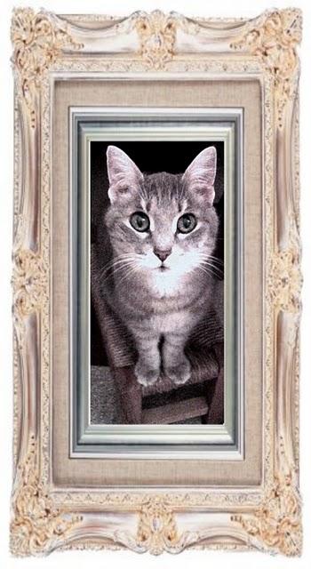 LA GATTA portachiavi e strap cellulare