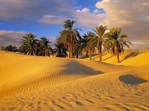 deserto berberi-tuareg redazione@mediterranews.org