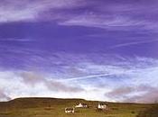 Rivulets home (2006)