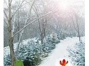 Morikiki (Mountains, Students Sages)