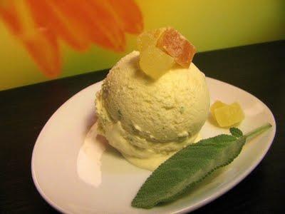 DI CHI E' LA VOGLIA? CERNIERA DI VITA E LUCE DI MILLE SORRISI - GELATO AL MELONE AL PROFUMO DI SALVIA E DADINI DI PAPAYA, ANANAS E MELONE ESSICCATI