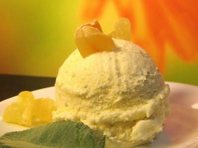 DI CHI E' LA VOGLIA? CERNIERA DI VITA E LUCE DI MILLE SORRISI - GELATO AL MELONE AL PROFUMO DI SALVIA E DADINI DI PAPAYA, ANANAS E MELONE ESSICCATI