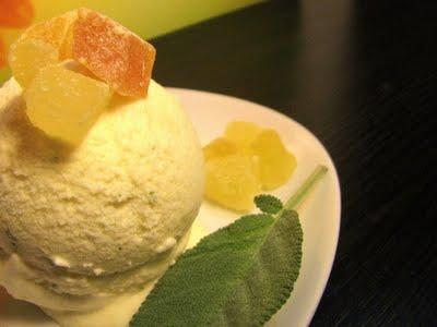 DI CHI E' LA VOGLIA? CERNIERA DI VITA E LUCE DI MILLE SORRISI - GELATO AL MELONE AL PROFUMO DI SALVIA E DADINI DI PAPAYA, ANANAS E MELONE ESSICCATI