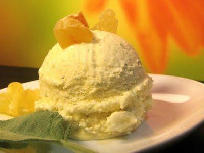 DI CHI E' LA VOGLIA? CERNIERA DI VITA E LUCE DI MILLE SORRISI - GELATO AL MELONE AL PROFUMO DI SALVIA E DADINI DI PAPAYA, ANANAS E MELONE ESSICCATI