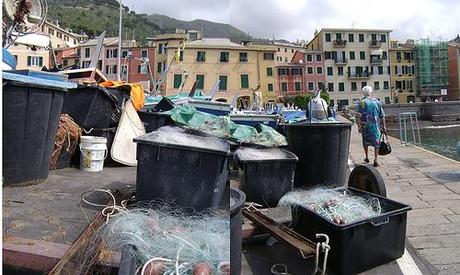 Porto di Nervi