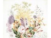 Disegni Botanica