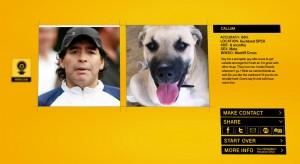 A che cane assomigli? te lo dice Doggelganger