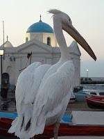 Classical music at sunset in Mykonos