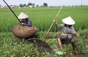 Sacerdote vietnamita: la mia missione al servizio dei poveri e degli atei