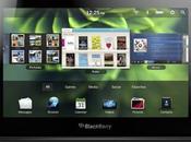 Blackberry Playbook