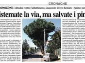 rassegna stampa