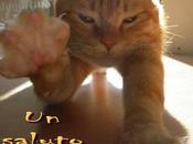 Trading Unicredit parte