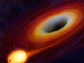buco nero divora stella