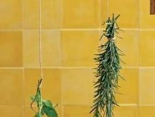 Essiccare erbe aromatiche