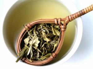 new-white-tea