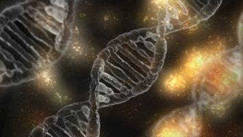 Il cancro non arriva per caso né per sfortuna geni