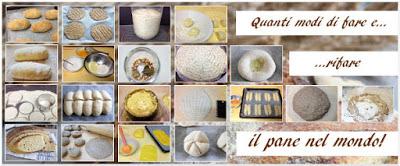 Pane nel mondo: Sheermal bread (India-Iran-Pakistan) Pane nel mondo: Sheermal bread (India-Iran-Pakistan)