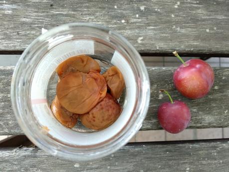 Come fare le prugne Umeboshi in casa umeboshi