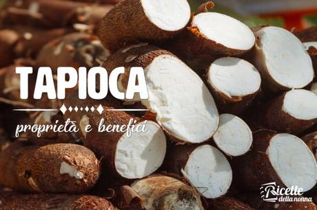 Tapioca: proprietà, benefici e controindicazioni Tapioca