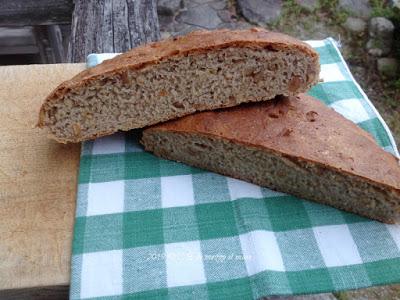 Pane nel mondo Ajdov kruh z orehi (Pane della Slovenia) Pane nel mondo Ajdov kruh z orehi (Pane della Slovenia)