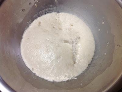 Pane nel mondo Ajdov kruh z orehi (Pane della Slovenia) Pane nel mondo Ajdov kruh z orehi (Pane della Slovenia)