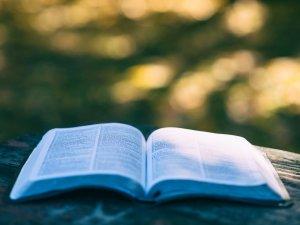 Esame di maturità: cosa mangiare per affrontarlo al meglio libro studio