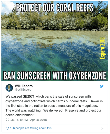 Bleaching dei coralli: cos’è e come possiamo impedirlo con piccole scelte quotidiane Tweet di Will Espero hawaii