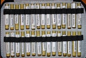 Rettocolite ulcerosa guarita con l'Omeopatia. Un caso clinico omeopatia