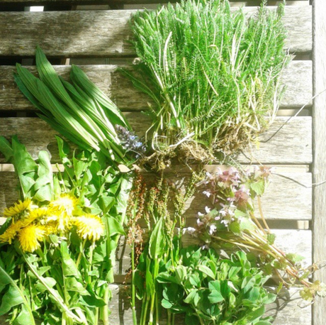 Foraging: il bello del cibo selvatico Foraging: il bello del cibo selvatico