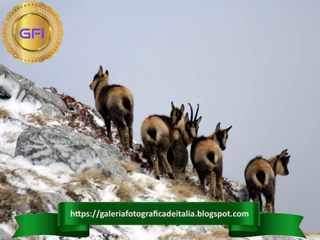 Il Parco Nazionale del Gran Sasso è una delle più grandi aree protette in Europa. Il Parco Nazionale del Gran Sasso è una delle più grandi aree protette in Europa.