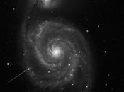 Supernova
