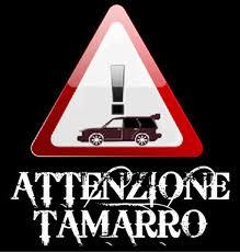 le fantastiche avventure della Fenice: approcci maschili part1 - IL TAMARRO